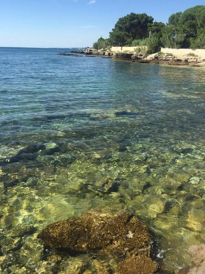 Valentina Apartment Novigrad