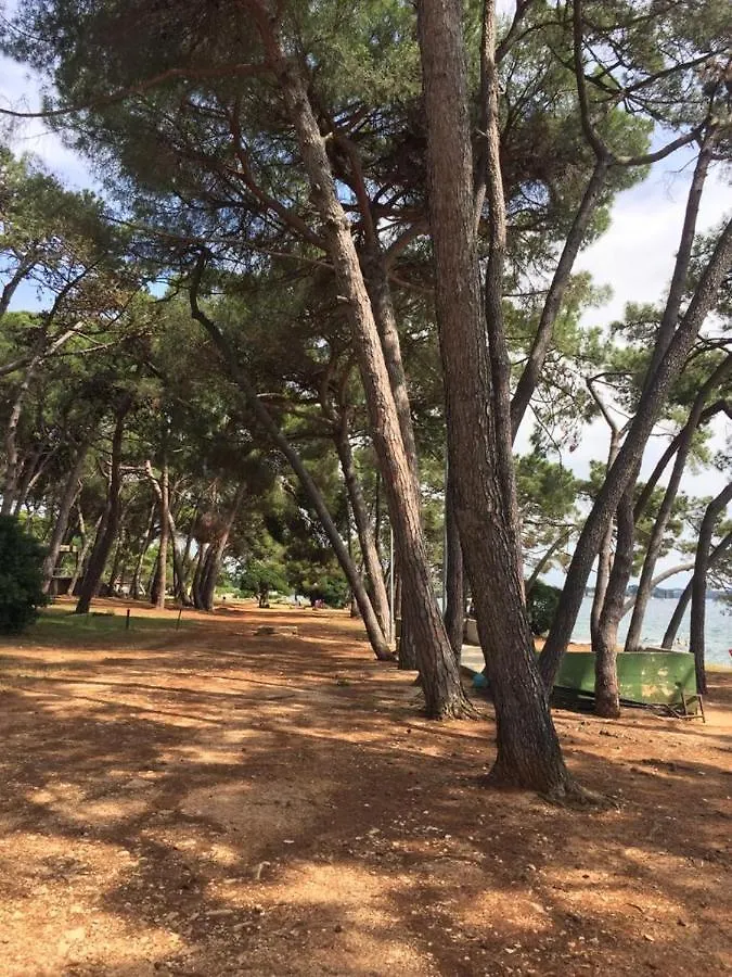 Valentina Apartment Novigrad
