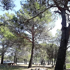 Eco Secluded Zabodarski Apartmán Čunski